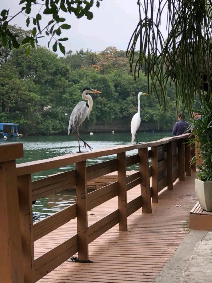 Barra Da Tijuca Rio De Janeiro Ilha Da Gigoia Apartment Ngoại thất bức ảnh
